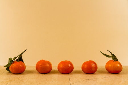 Line of tangerines with green leaves copy space above.の写真素材