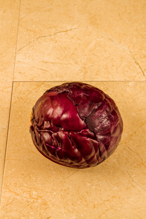 Red cabbage on beige tiles, copy space top.の写真素材