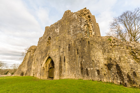 Wall of large courtyard castle St Quentins Castle, Llanblethian, South Wales.のeditorial素材