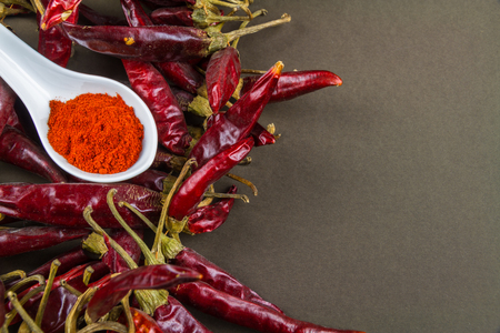 Hungarian Paprika in white ceramic spoon on bed of peppers, copyspace on rightの写真素材