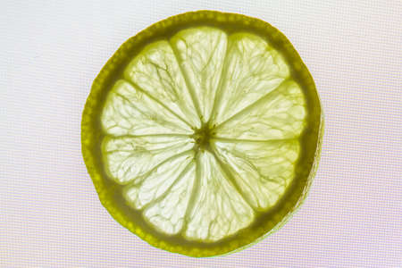 Slice of lime, backlit, macro, close up, landscape