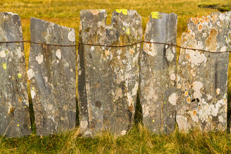 Old slates forming fence, lichen on stone.