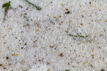 Macro of dry cure for bacon, salt, sugar, bay leaf, pepper, juniper. On wooden chopping boardの写真素材