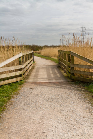 Gravel path with wooden footbridge, on sunny day, portraitの写真素材