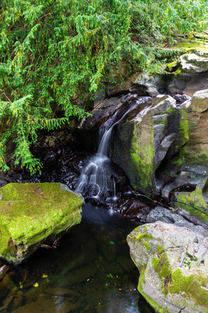 Lower part of the The Fairy Falls, called Rhaeadr y Tylwyth Teg in Welsh. Waterfall in Trefriw Conwy County, North Wales, UK, low water because if summer, portrait wide angle.の写真素材