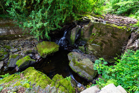 Lower part of the The Fairy Falls, called Rhaeadr y Tylwyth Teg in Welsh. Waterfall in Trefriw Conwy County, North Wales, UK, low water because if summer, landscape wide angle.の写真素材
