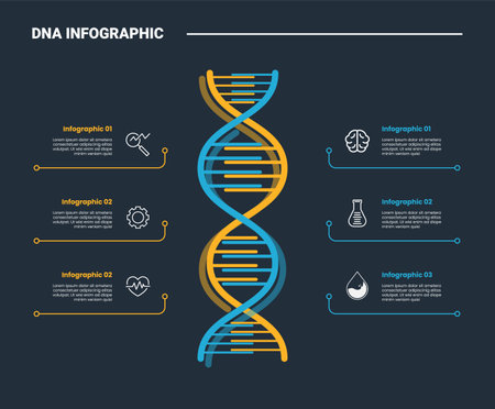 DNA science helix infographic process diagram with vertical standing with content opposite direction with dark background bright outline style 6 points vectorのイラスト素材