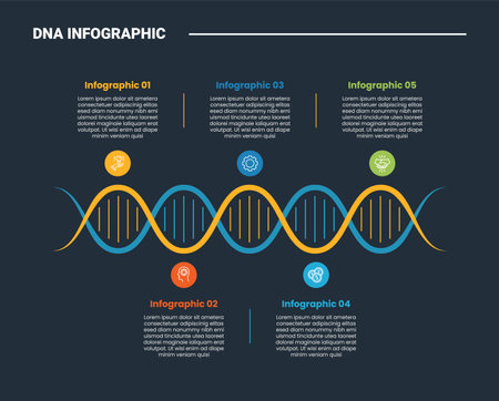 DNA science helix infographic process diagram with horizontal strand with circle description up and down with dark background bright outline style 5 points vectorのイラスト素材