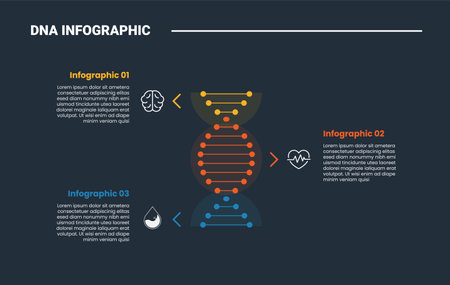 DNA science helix infographic process diagram with vertical strand with dot point line combination with dark background bright outline style 3 points vectorのイラスト素材