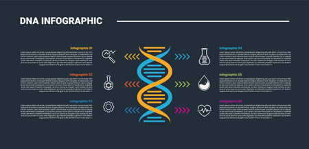 DNA science helix infographic process diagram with symmetric center base with list opposite direction with dark background bright outline style 6 points vectorのイラスト素材