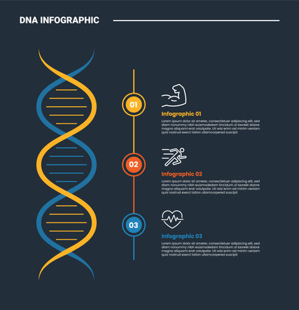 DNA science helix infographic process diagram with vertical strand with dot line connection with dark background bright outline style 3 points vectorのイラスト素材