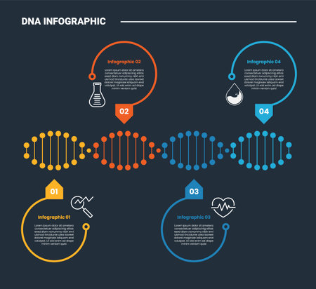 DNA science helix infographic process diagram with horizontal and point up and down with dark background bright outline style 4 points vectorのイラスト素材