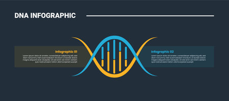 DNA science helix infographic process diagram with horizontal smooth shape with opposite comparison with dark background bright outline style 2 points vectorのイラスト素材