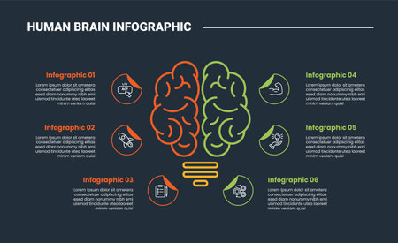 Human Brain anatomy infographic process diagram with brain on lightbulb lamp with big main comparison side with dark background bright outline style 6 points vectorのイラスト素材
