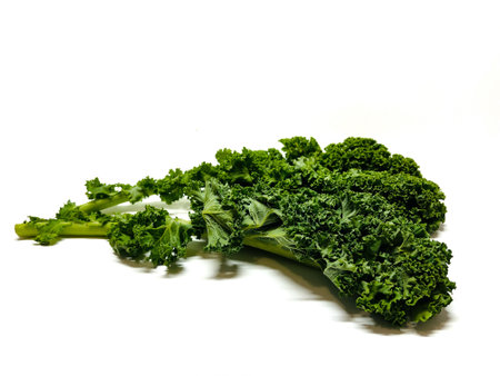 Kale leaves isolated on white background. Fresh kale leaves on white background.の写真素材