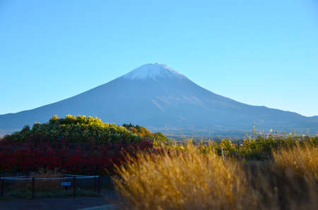 Fujisan from Kawaguchikoの写真素材