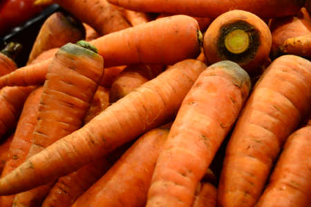 carrot in marketの写真素材