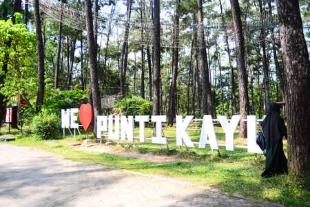 punti kayu zoo Palembang cityの写真素材