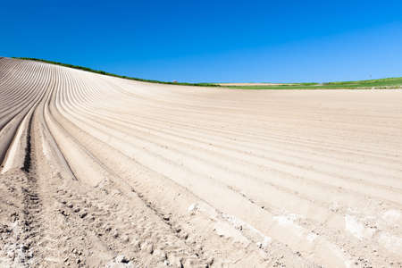 Scenery of Hokkaido Biei Hillの写真素材