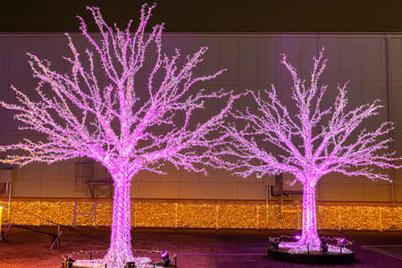 Oi Racecourse Illumination