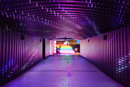 Oi Racecourse Illuminationのeditorial素材