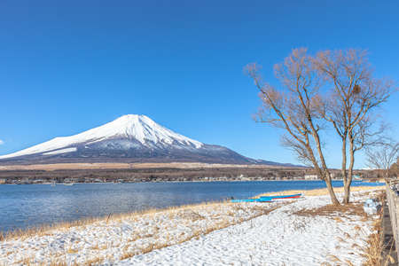 Mt. Fuji and Lake Yamanaka in winterの写真素材