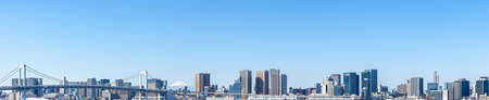 The city of Tokyo and Mt. Fuji panorama of fine weather