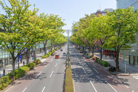 Omote-Sandoのeditorial素材