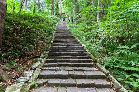 Cedar trees and stone steps along the Haguroyama approach