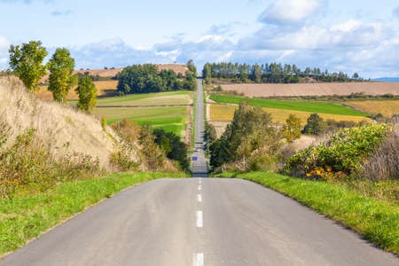 long roadの写真素材