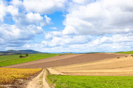 Hokkaido Biei Patchwork Hill Scenery