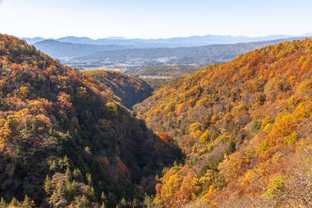 Autumn leaves in Yokotani Valley, Chino City, Nagano Prefecture