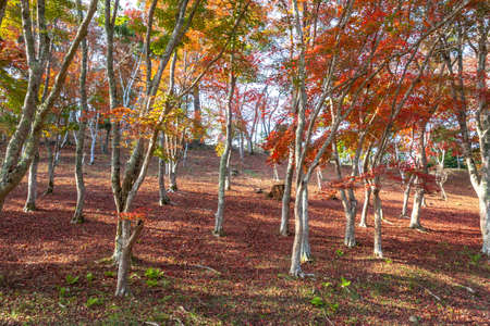 Tinker nature park