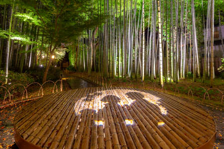 Shuzenji Bamboo Forest Small Diameter Light Upのeditorial素材