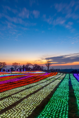 Mother Farm Illuminationの写真素材