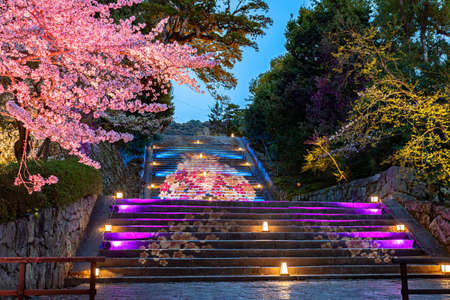 Thyon-in Temple Light Upのeditorial素材