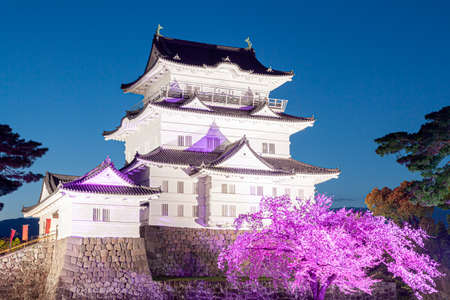 Odawara Castle Night Cherry Blossom Light Upのeditorial素材