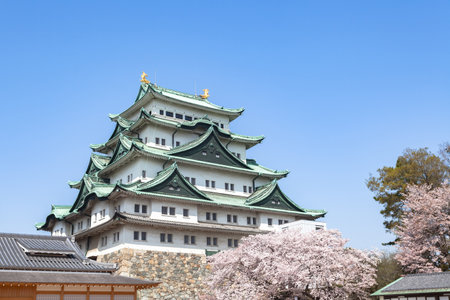 Nagoya Castle springのeditorial素材