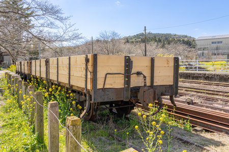 Kominato Railway in spring when rape blossoms bloom Satomi Stationの写真素材