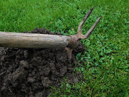 The antique hoe for everyday working on garden for digging into the earth. It is great tool for it.の写真素材