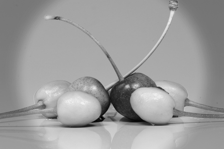 A black and white cherries on the white background with mirroringの写真素材