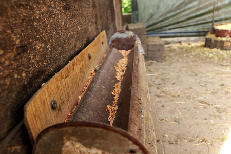 A gutter for grain for hens. Feeder for feed. Suffused earth. Hut for hensの写真素材