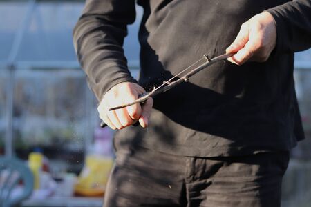 Adult man cuts wooden stick to spiked stick for better puncture food. For example cheese, apple and...