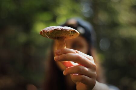 Typical czech mushroom suede bolete. Xerocomus subtomentosus in holds hands of wonderful young girl....