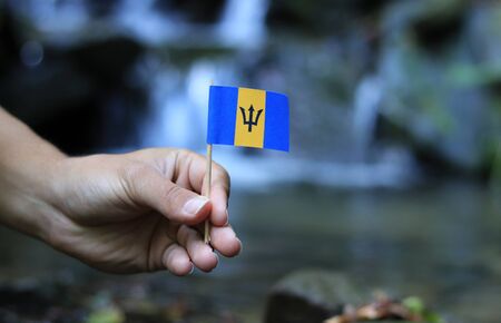 Flag of Barbados on wooden stick. Colour man holds national athem near waterfall on stream in autumn times. Concept of humanity and nature. Barbados in hand. Flag for packet. Symbol of citizens.の写真素材