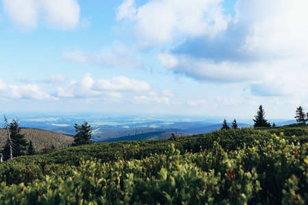 Beautiful view of a typical kneeling on the peaks in Hruby Jesenik, North Moravia, Czech Republic. Morning view of the villages of Mala Moravka and Karlov pod Pradedem. Typical Czech landscape. Green and blue.の写真素材