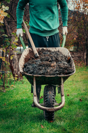 Young man in a village drives a wheelbarrow full of manure to his patch, where he uses it for improved soil fertility and bioversity. landscaping. Autumn Work. Working clothes.の写真素材