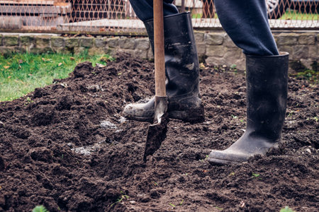 Experienced gardener digs his garden. The young man stands in the muddy ground and makes a special...
