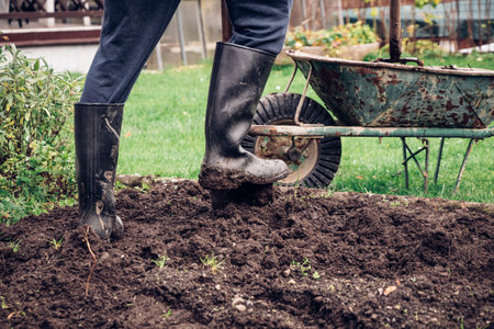 experienced farmer gets better at spade wet clay. Engraving the garden with a unique tool. Hand digging a garden. The man uses his foot to push the spade, which he inserts into the clay.の写真素材