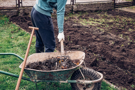 middle-aged man in scruffy work clothes puts manure in the dirt and improves its composition and...